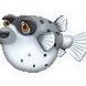Fugu