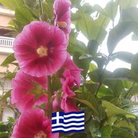 Χλόη