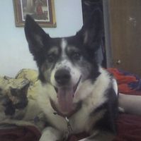 Duncan