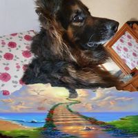 Julie