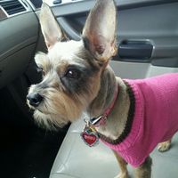 Brianna