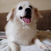 Vera