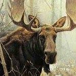 Horn