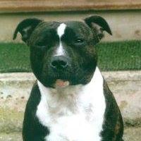 Duke