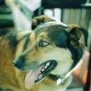 Tobie