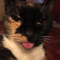 Sarah