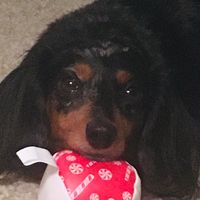 Tammy
