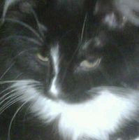 Katie