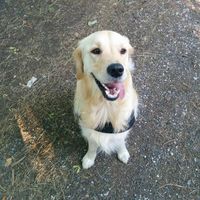 Julie