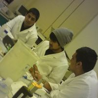 Israr