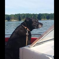 Ben