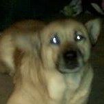 Blane