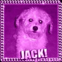 Jack