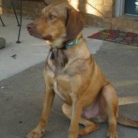 Cindi