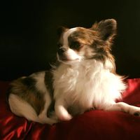 Peggy