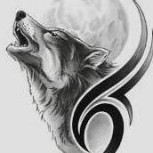 Tung