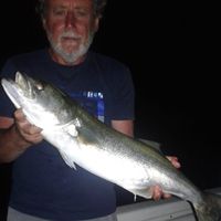 Maurizio
