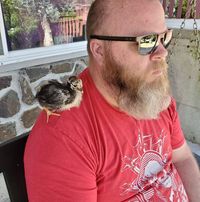 Steve
