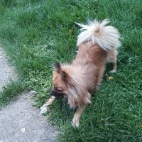 Yvonne
