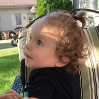 Evangelia