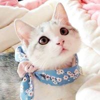 Tom