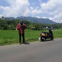 Halim