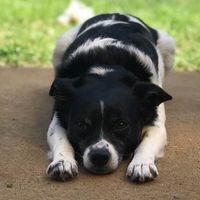 Erik