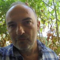 Zoran