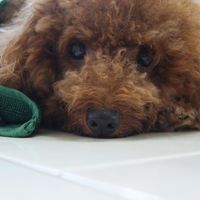 Ben