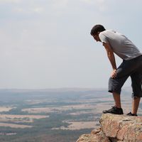 Daniele