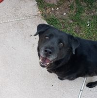 Gina