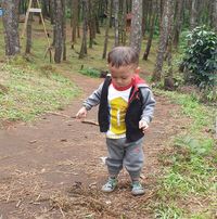 Dimmy