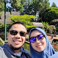 Ludy