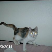 Ruth