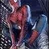 Peter