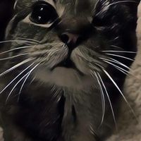 Mike