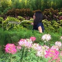 Shella