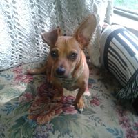 Peggy
