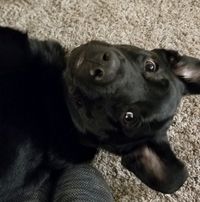 Wu