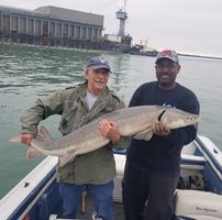 Steven Profisherman
