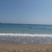 Federica