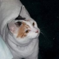 Helen