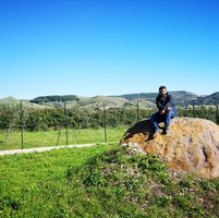 Alessandro