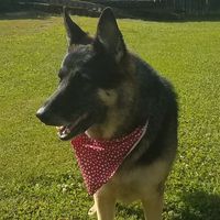 Sam