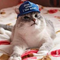 Tom