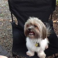 Sam