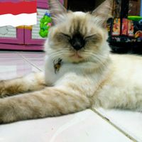 Indra