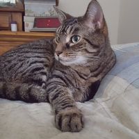 Katherine