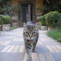 Piero