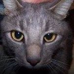 Jack